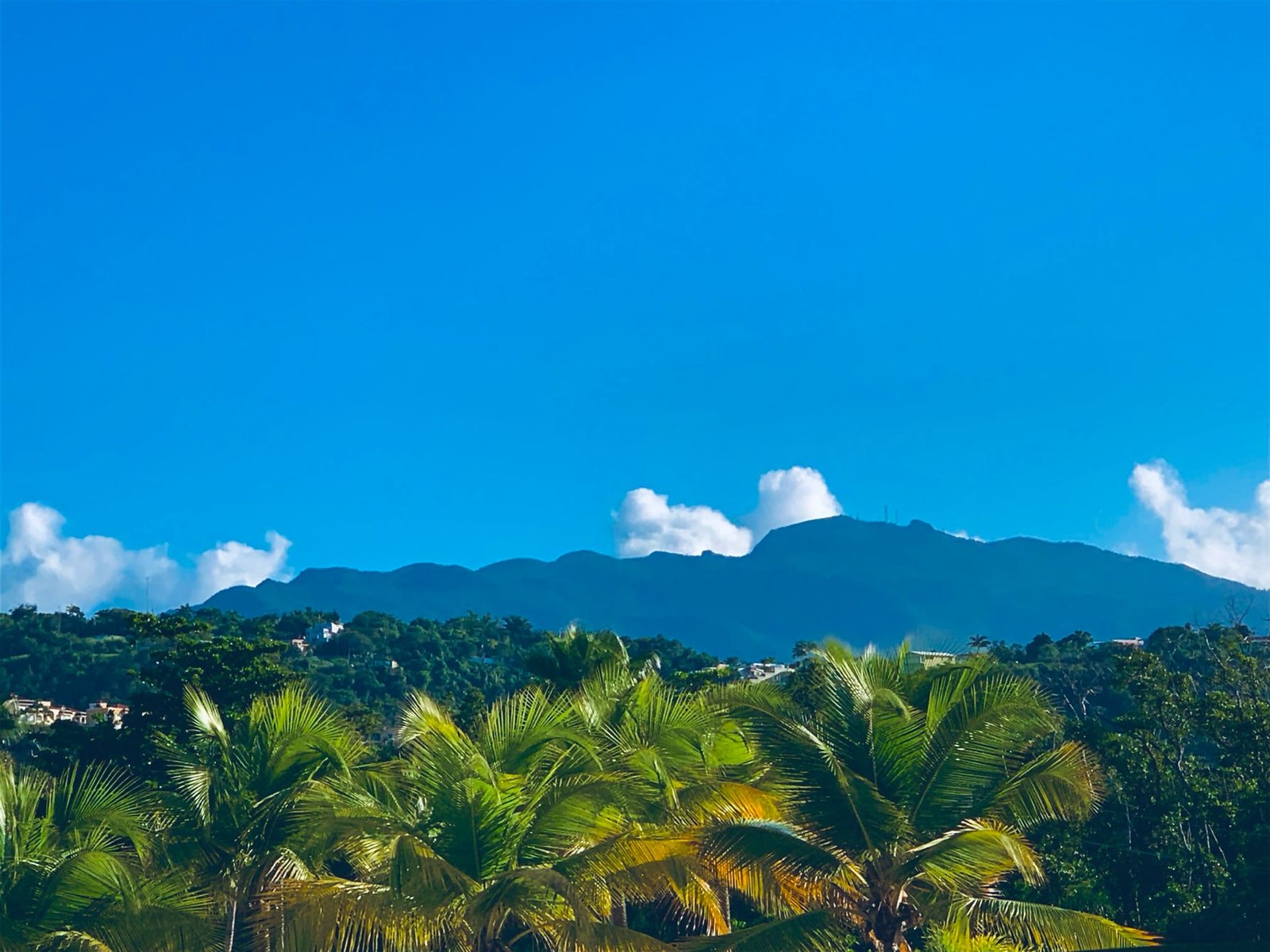 El Yunque is minutes from Rainforest Beach Condo